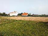1597D